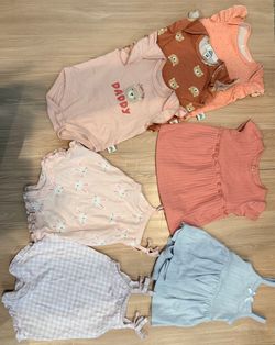 0-3 Month Baby Girl Spring/Summer Clothing Bundle