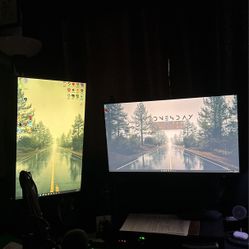 Dual Monitor Setup