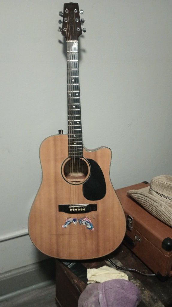 Acoustic Electric Carlos Ebony Frets Smith 1960