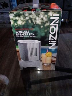 NIZONI wireless speaker fan