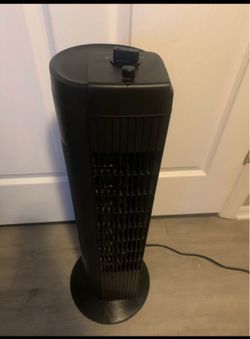 Fan