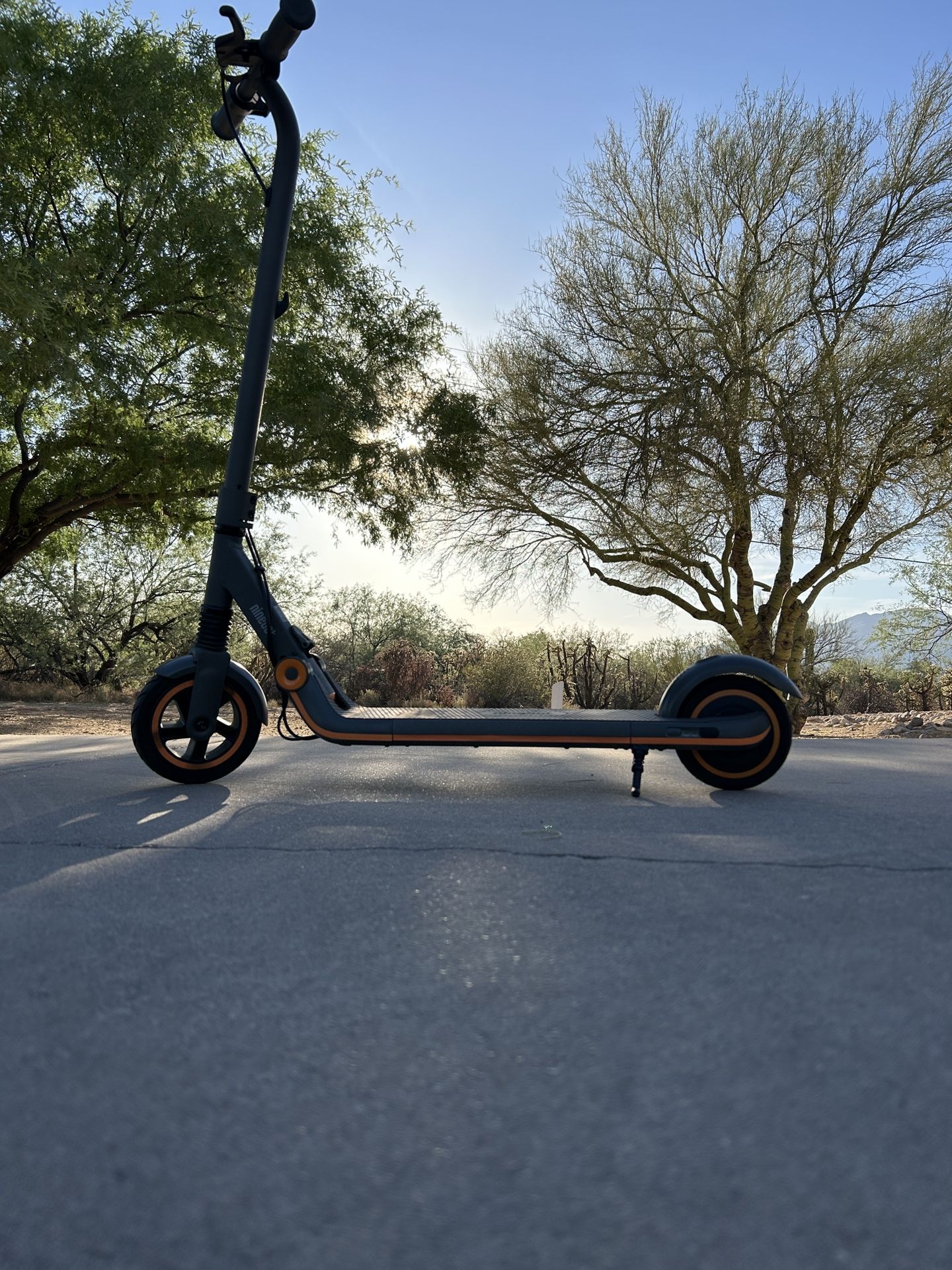 Segway Ninebot Zing E10