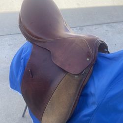 16 inch courbette english saddle