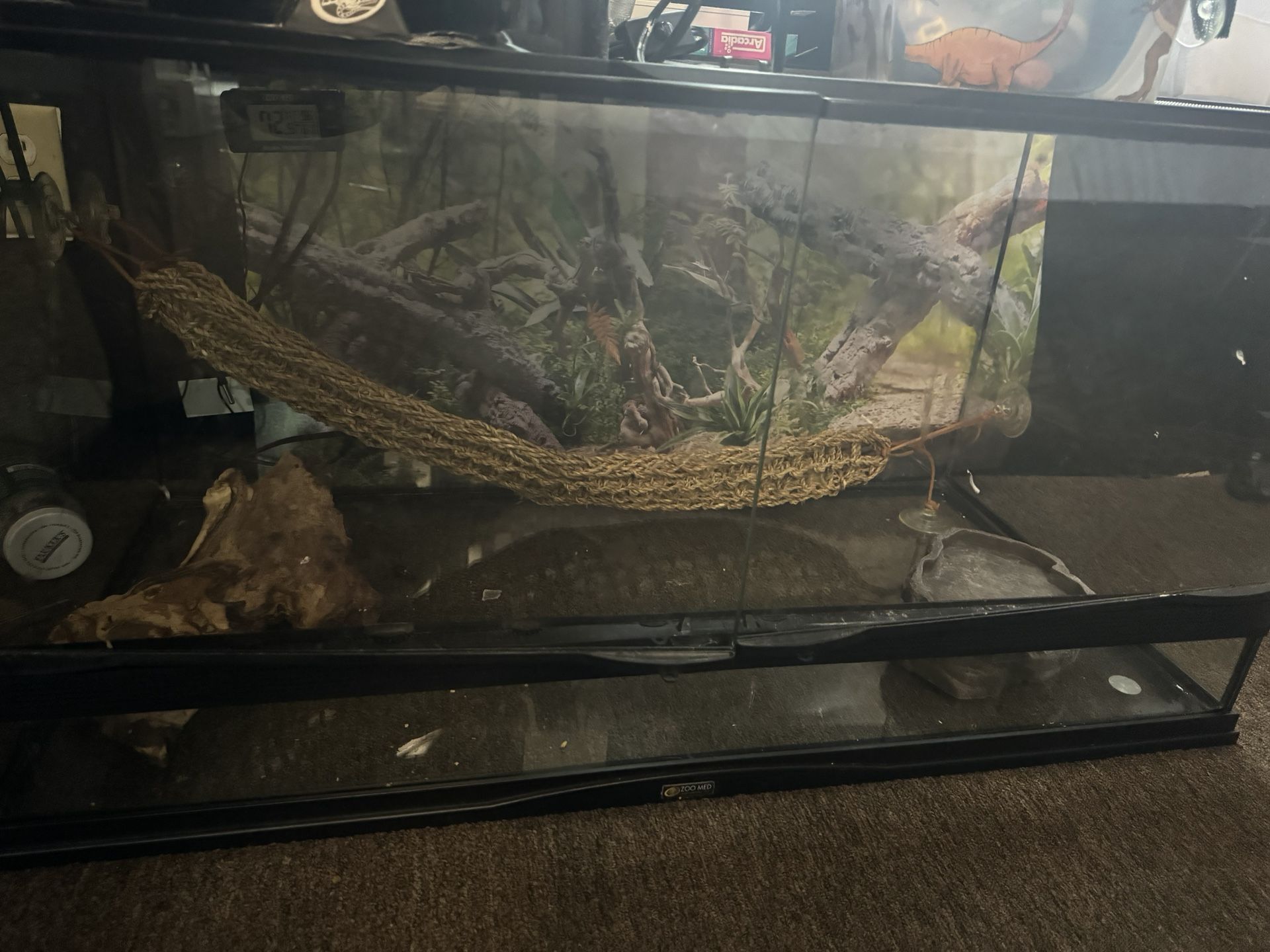 Reptile Enclosure