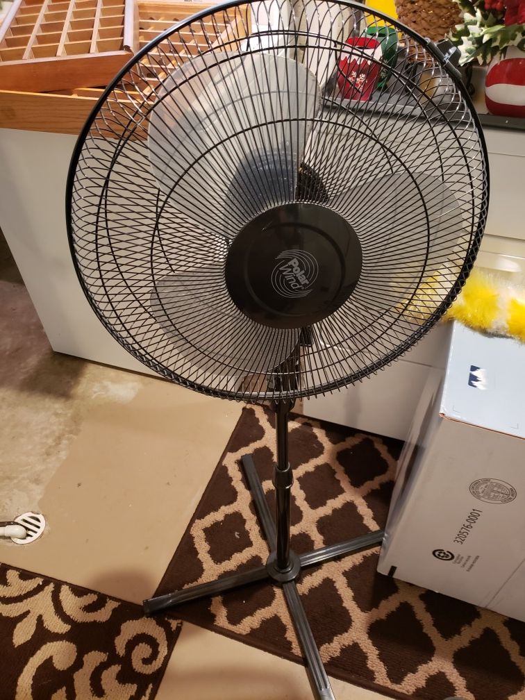 Black tall Oscillating fan