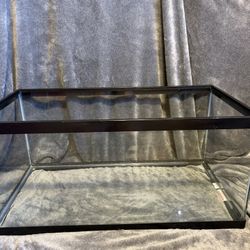 Critter Tank/Reptile Terrarium