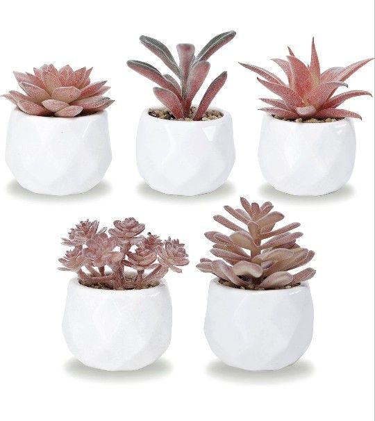 Brand New Set of 5 Artificial Succulent Plants - Pink Mini Assorted Fake Succulents - Small Artificial Plants in Pots for Home Decor Indoor