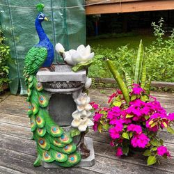 Outdoor Water Fountain New in Packaging Beautiful Peacock Sculpture With LED Retailed For $396.99.