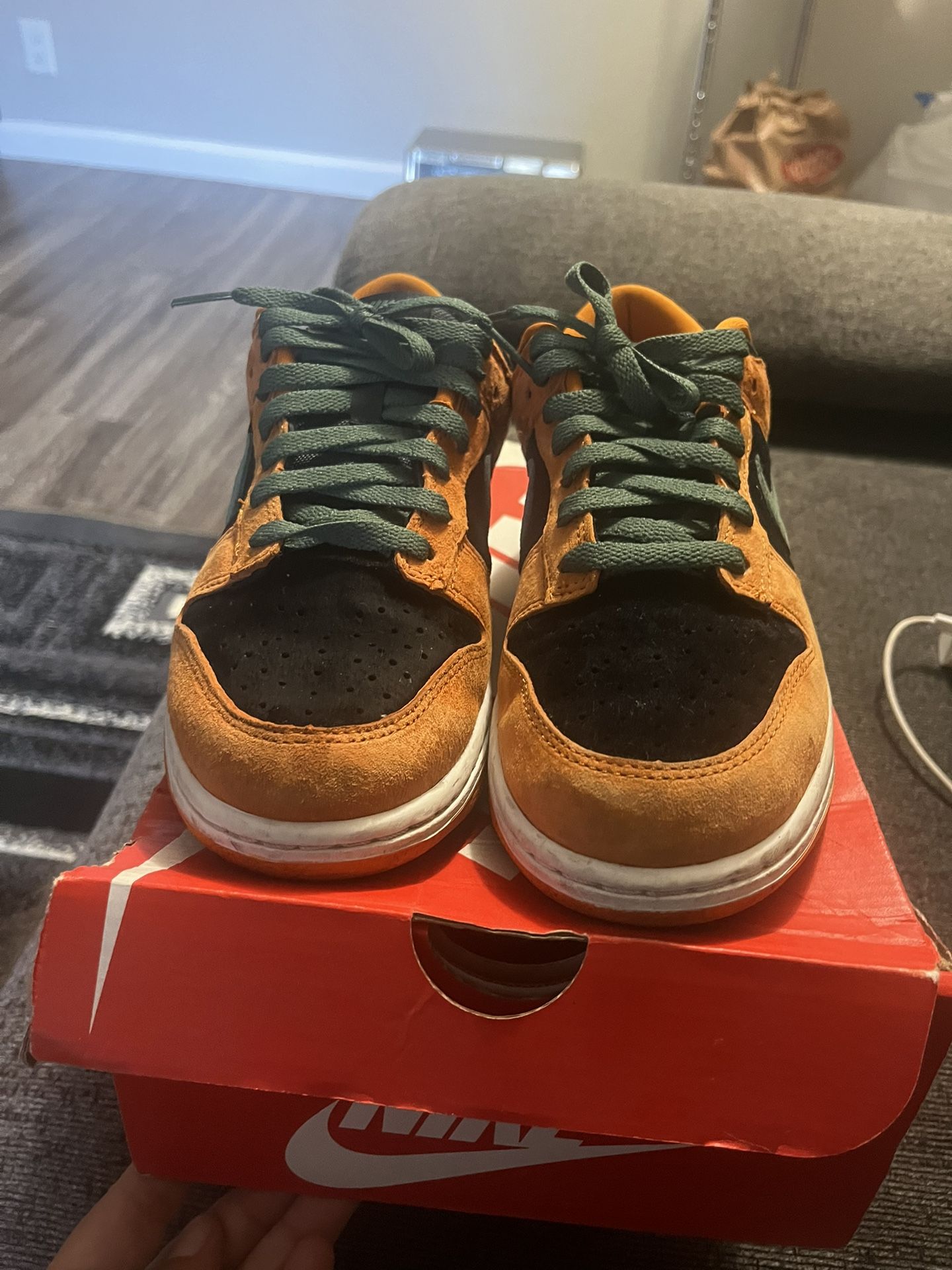 Nike Dunks (Men)