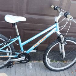 Khs 24 Inch Mountain Bike $80 FIRM 