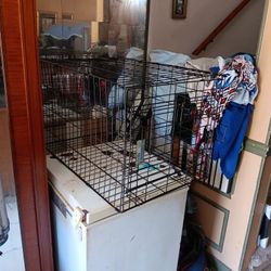 Pet Kennel / Carrier