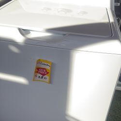  Bonita Labadora Tina Grande Con Garantía 