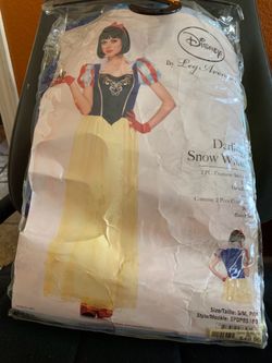 Disney Snow White costume adult