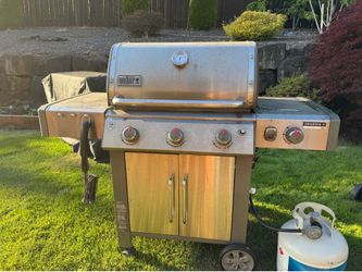Weber Genesis