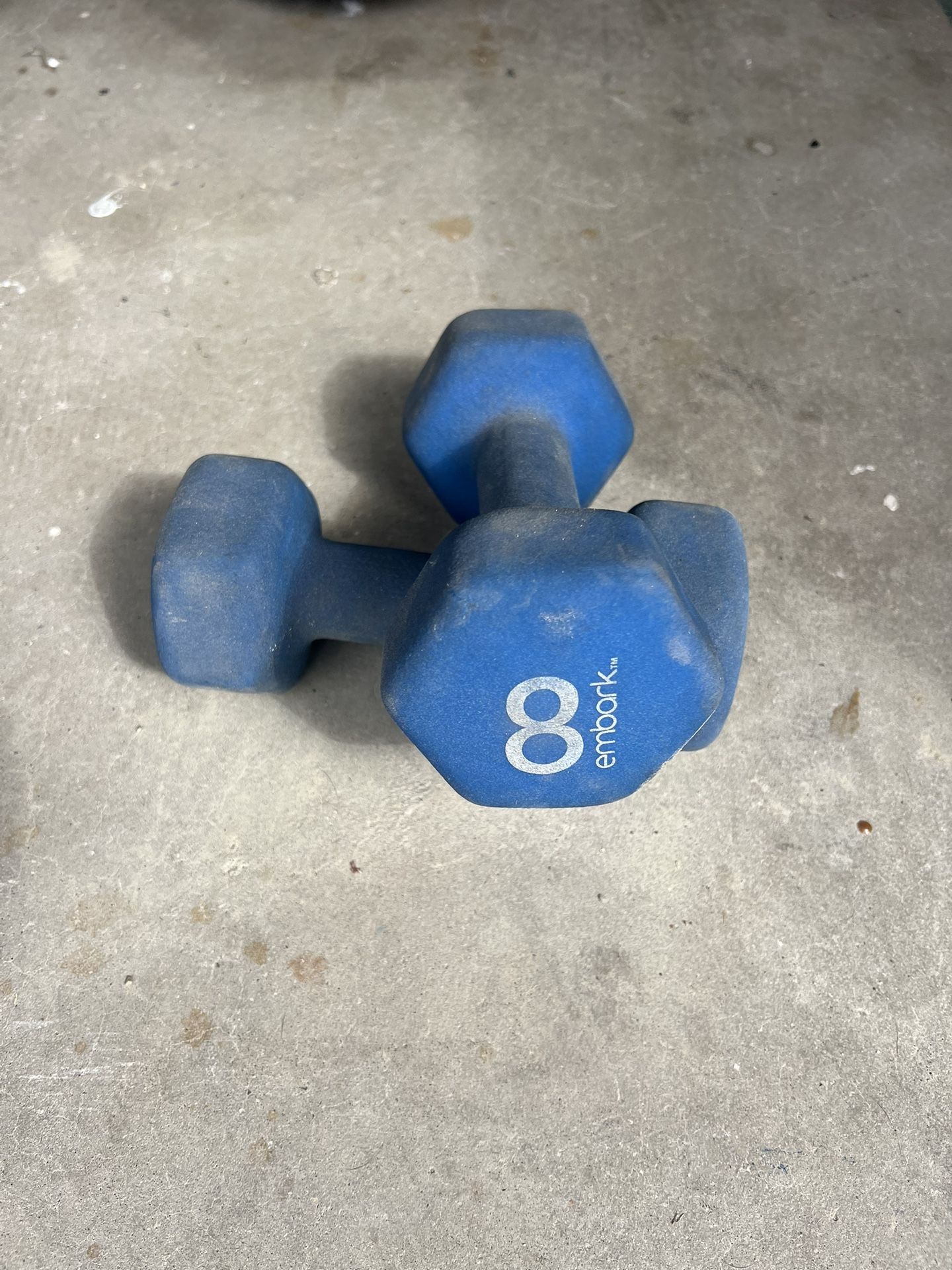 8 Lb Dumbbells