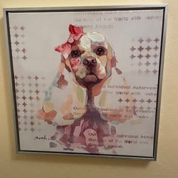Pretty Spaniel Dog Wall Painting Oil On Canvas 18”x18” Aluminum Frame