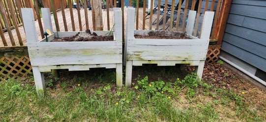 Raised Planter Boxes (3 Available) – $40 Each