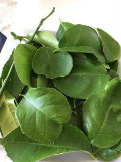 Fresh lemon leaf 🍃 $3