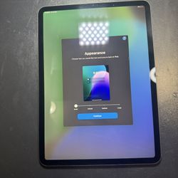 iPad Pro 11 Inch WiFi 2019 (READ)