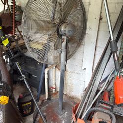 Fan