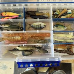 Saltwater Soft Baits 