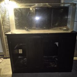 120 Gal With Stand