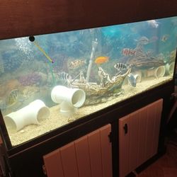 55-gallon Tank Custom Made