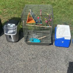 Bird Cage 
