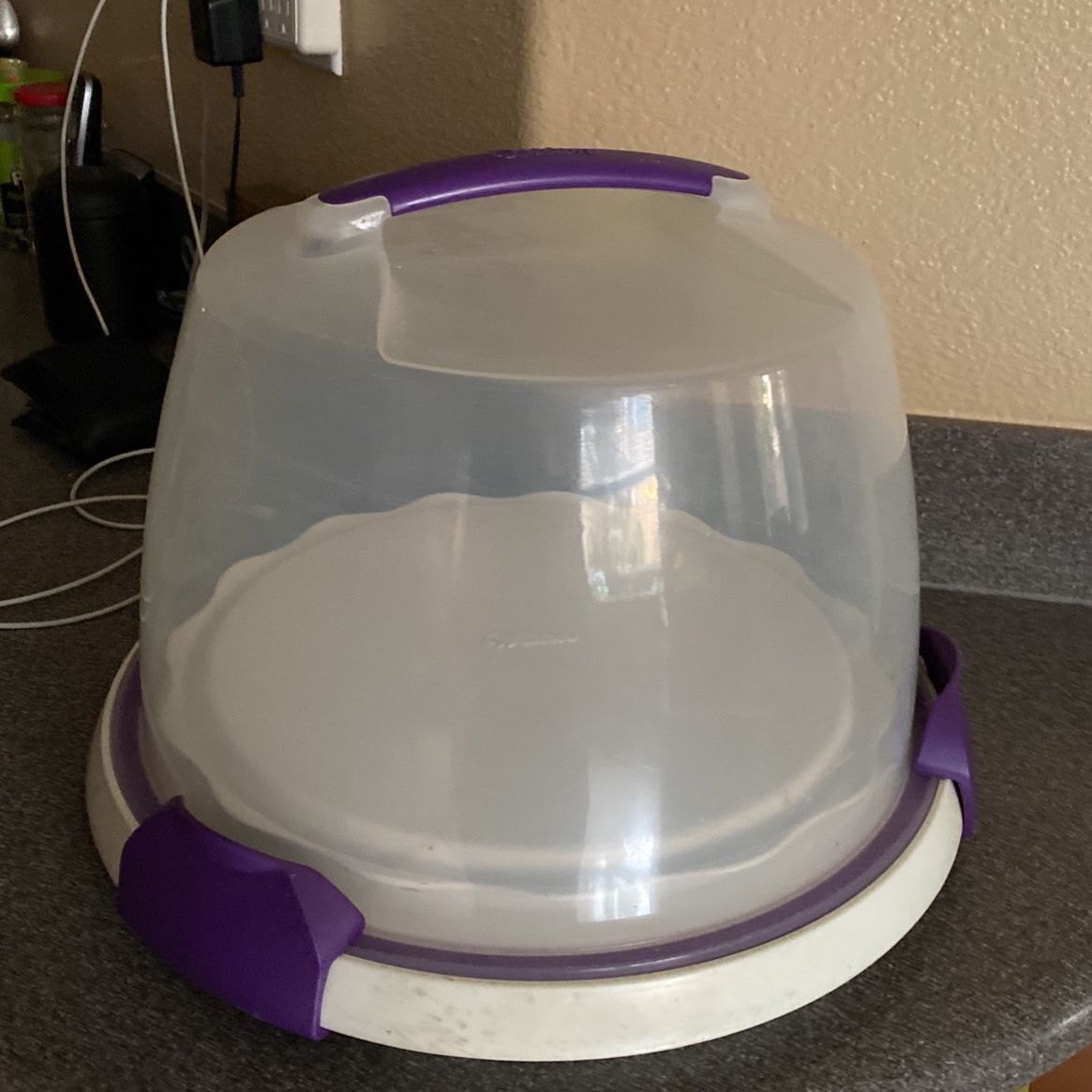 Cake Carry Container