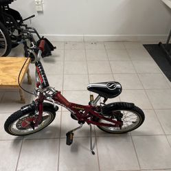 Schwinn Safari Kids Bike 