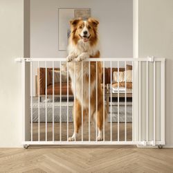 Dog Gate