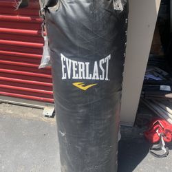 Everlast Powercore Punching Bag