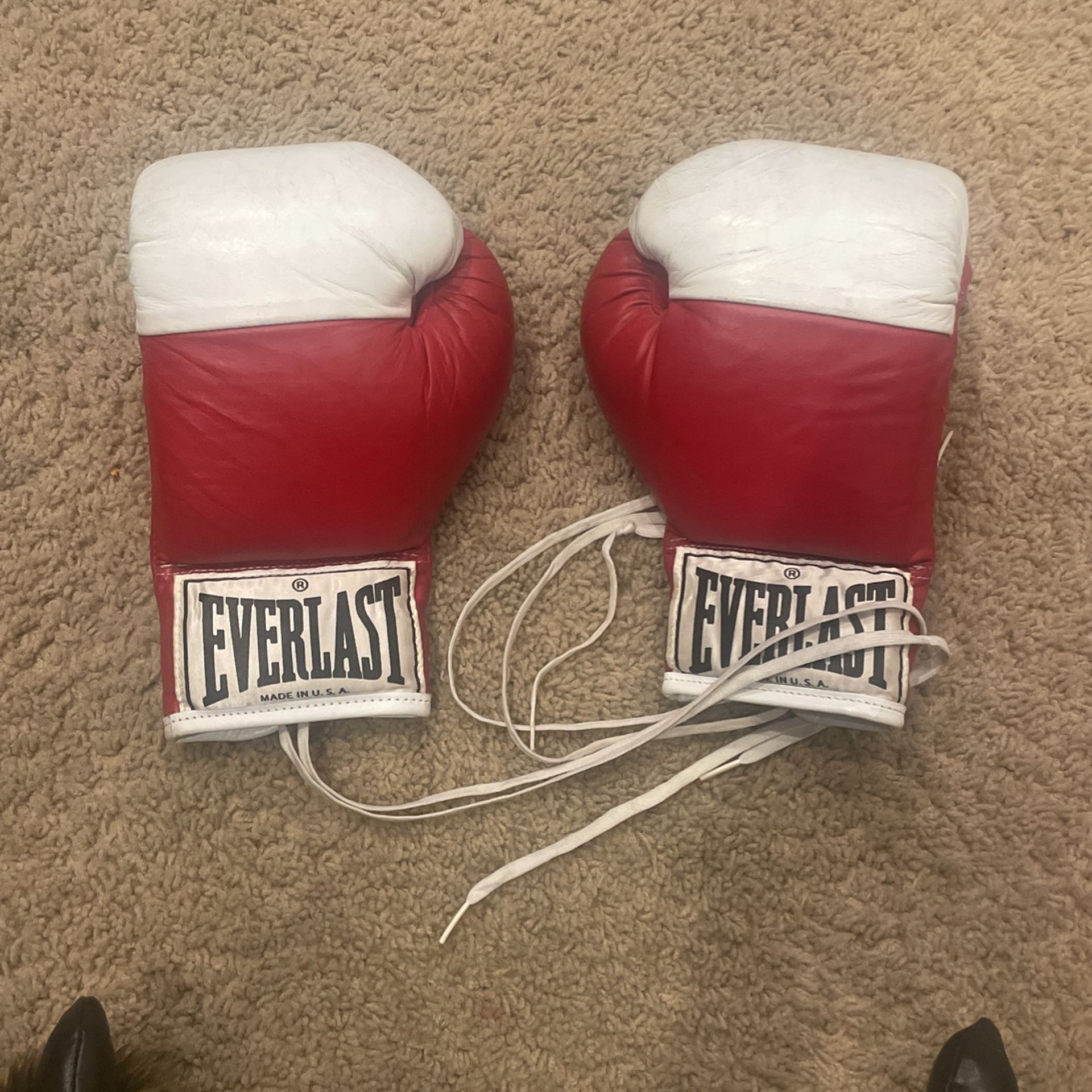 Everlast 1Punching Gloves