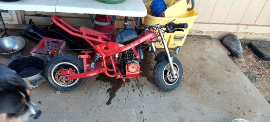 Little Pocket Rocket