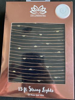 15' 45 light string light on Rose gold wire from Nordstrom