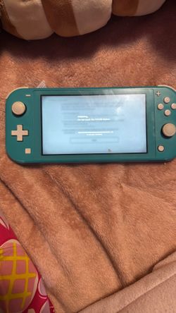 Nintendo switch light