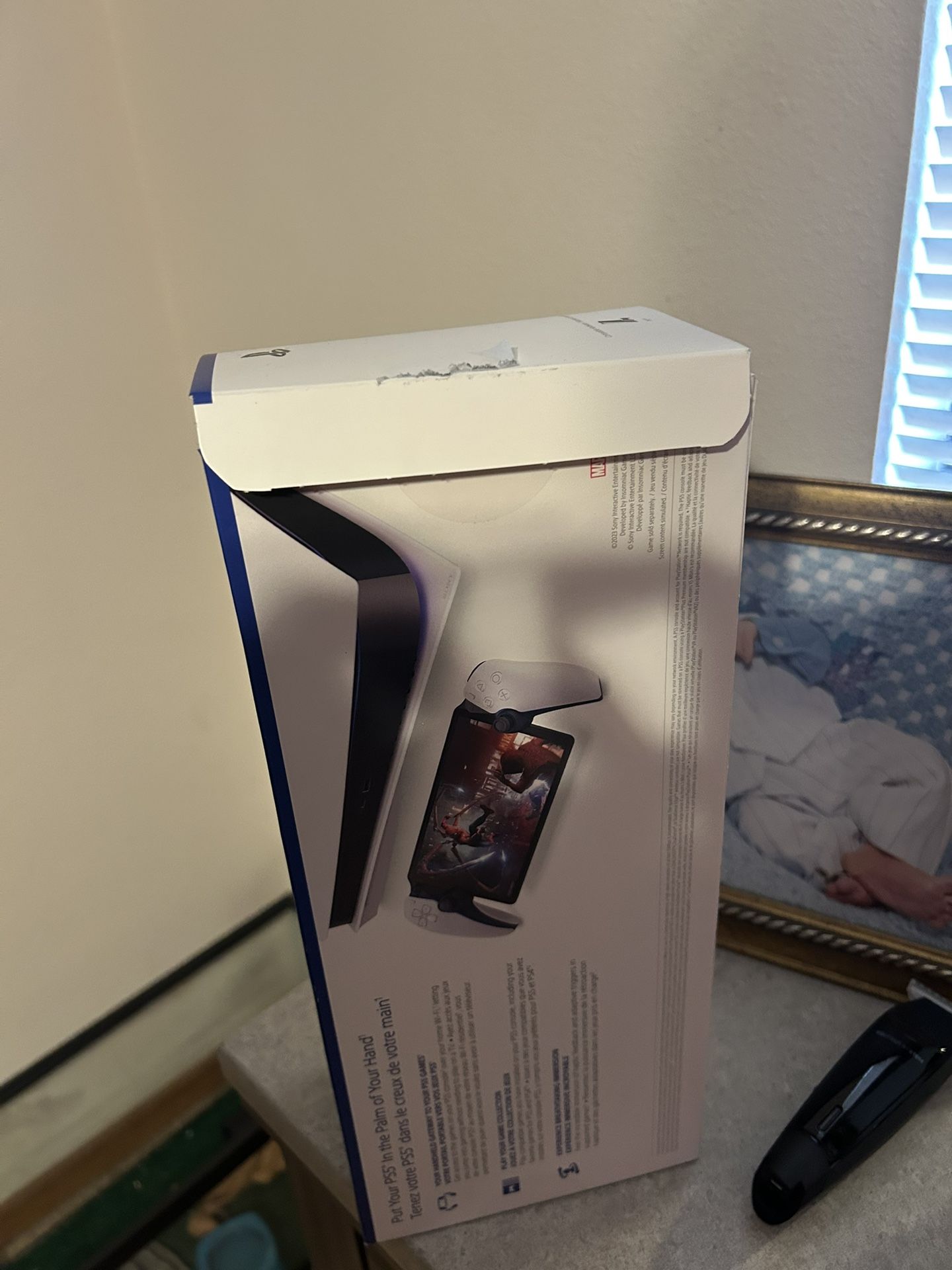 PlayStation Portal