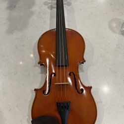 Violín 116