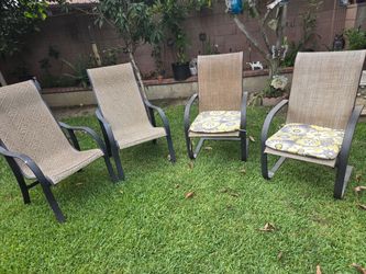 Patio Chairs