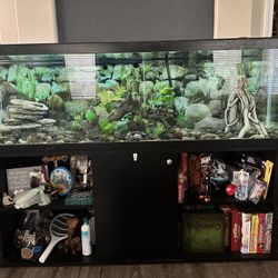 125 Gallon Tank For Sale With All Aquarium Supplies 