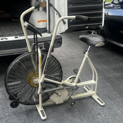 Schwinn Airdyne Exercise Bike 