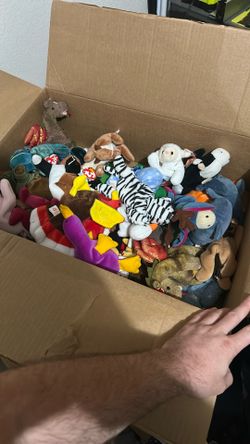 Beanie Babies Older Ones 60 Bucks 
