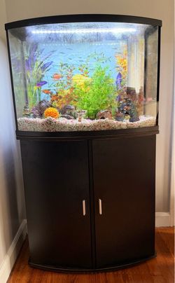 Fish tank 36 gallon