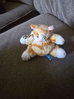Cat Change Purse Keychain