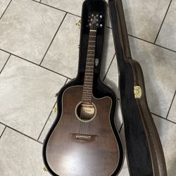 Takamine P1