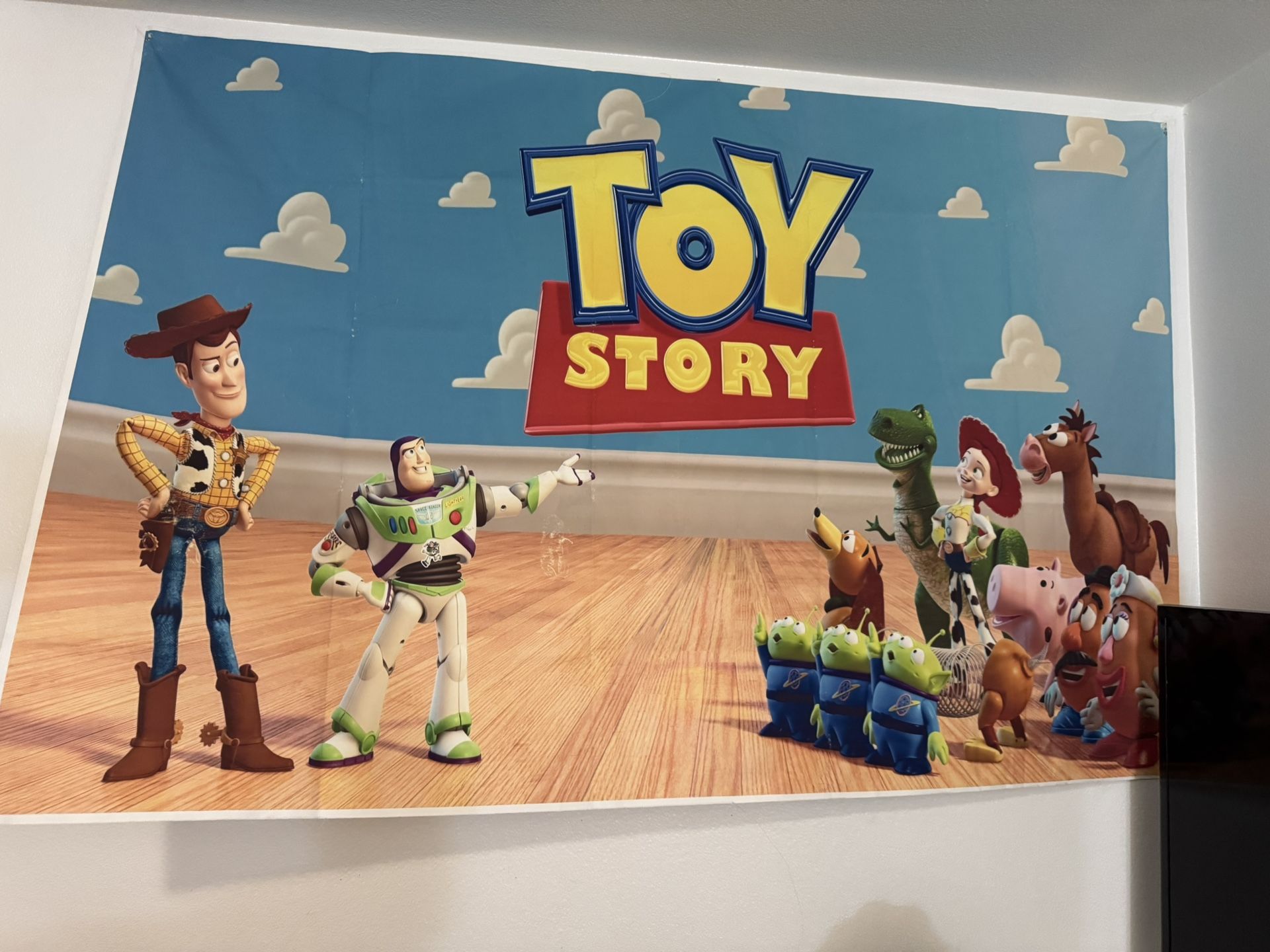 Toy Story Cloth Poster