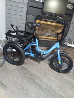 E bike