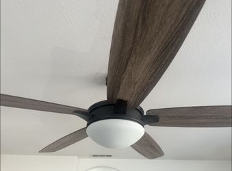 Ceiling fan light