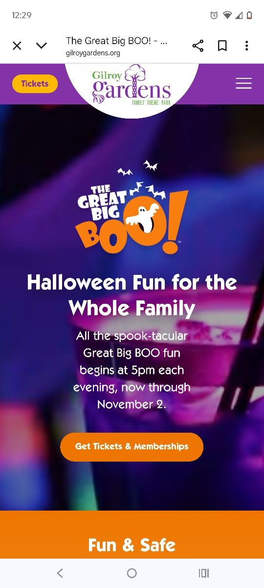 6 Gilroy Gardens "The Big boo" 