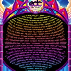 ONE (1) EDC LV 3-DAY GA EXPERIENCE PASS TICKET.